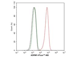 Invitrogen ADRM1 Recombinant Rabbit Monoclonal Antibody (PSH05-41) 100