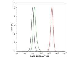 Invitrogen PABP Recombinant Rabbit Monoclonal Antibody (PSH05-51) 100 &mu;L;