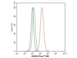 Invitrogen Kaiso Recombinant Rabbit Monoclonal Antibody (JE38-42) 100 &mu;L;