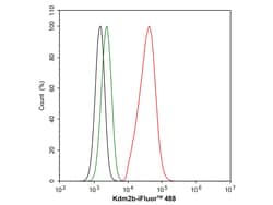 Invitrogen FBXL10 Recombinant Rabbit Monoclonal Antibody (PSH05-38) 100