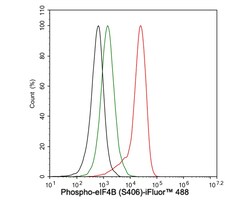 Invitrogen Phospho-eIF4B (Ser406) Recombinant Rabbit Monoclonal Antibody