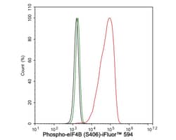 Invitrogen Phospho-eIF4B (Ser406) Recombinant Rabbit Monoclonal Antibody