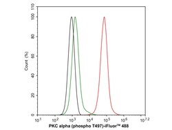 Invitrogen Phospho-PKC alpha (Thr497) Recombinant Rabbit Monoclonal Antibody