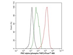 Invitrogen Phospho-PKC alpha (Thr497) Recombinant Rabbit Monoclonal Antibody