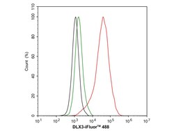 Invitrogen DLX3 Recombinant Rabbit Monoclonal Antibody (JE64-45) 100 &mu;L;