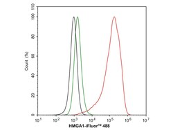 Invitrogen HMGA1 Recombinant Rabbit Monoclonal Antibody (JE58-17) 100 &mu;L;