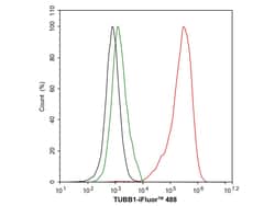 Invitrogen TUBB1 Recombinant Rabbit Monoclonal Antibody (JE01-23) 100 &mu;L;