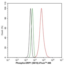 Phospho-DNM1L (Ser616) Recombinant Rabbit Monoclonal Antibody (PSH06-77):Antibodies,