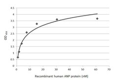 Invitrogen ANP Recombinant Rabbit Monoclonal Antibody (HL2617) 100 &mu;L;