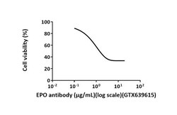 Invitrogen Epo Recombinant Rabbit Monoclonal Antibody (HL2752) 100 &mu;L;