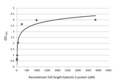Invitrogen Galectin 3 Recombinant Rabbit Monoclonal Antibody (HL2396) 100