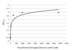 Invitrogen Galectin 3 Recombinant Rabbit Monoclonal Antibody (HL2396) 100