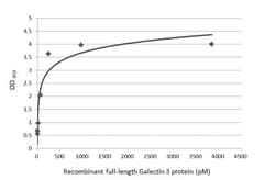 Invitrogen Galectin 3 Recombinant Rabbit Monoclonal Antibody (HL2397) 100