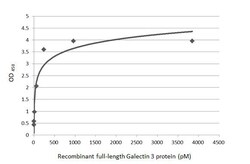 Invitrogen Galectin 3 Recombinant Rabbit Monoclonal Antibody (HL2397) 100