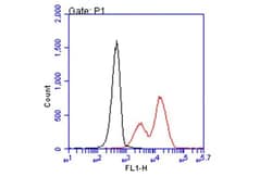 Invitrogen HLA-B7 Recombinant Mouse Monoclonal Antibody (BB7.1) 100 &mu;L;
