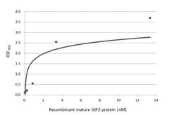 Invitrogen IGF2 Recombinant Rabbit Monoclonal Antibody (HL2937) 100 &mu;L;