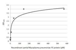 Invitrogen Mycoplasma pneumoniae P1 (strain ATCC 29342/M129/Subtype 1)
