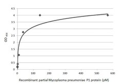 Invitrogen Mycoplasma pneumoniae P1 (strain ATCC 29342/M129/Subtype 1)