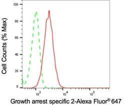 Invitrogen GAS2 Recombinant Rabbit Monoclonal Antibody (24GB3195):Antikörper:Primärantikörper
