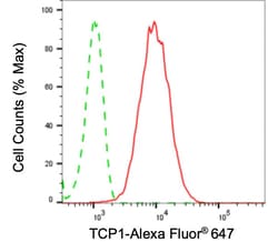 Invitrogen TCP1 Recombinant Rabbit Monoclonal Antibody (24GB4245):Antikörper