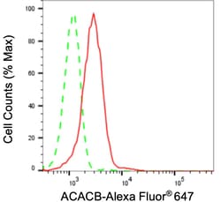 Invitrogen ACACB Recombinant Rabbit Monoclonal Antibody (24GB3230) 20 &mu;L;