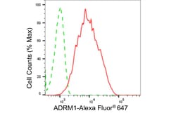 Invitrogen ADRM1 Recombinant Rabbit Monoclonal Antibody (24GB4700) 20 &mu;L;