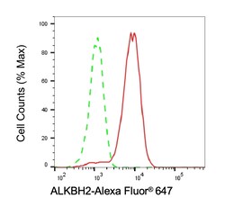 Invitrogen ALKBH2 Recombinant Rabbit Monoclonal Antibody (24GB6800) 100