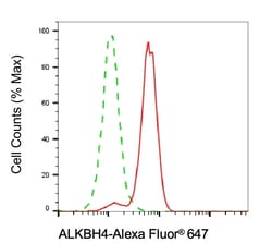 Invitrogen ALKBH4 Recombinant Rabbit Monoclonal Antibody (24GB6805) 100
