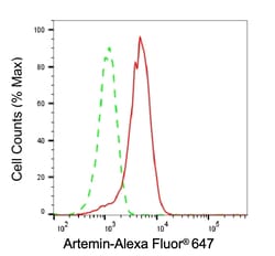 Invitrogen Artemin Recombinant Rabbit Monoclonal Antibody (24GB6845) 100