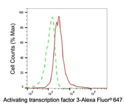 Invitrogen ATF3 Recombinant Rabbit Monoclonal Antibody (24GB6930) 100 &mu;L;