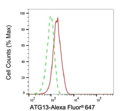 Invitrogen ATG13 Recombinant Rabbit Monoclonal Antibody (24GB6785) 100