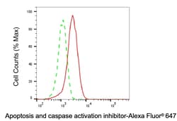 Invitrogen AVEN Recombinant Rabbit Monoclonal Antibody (24GB6865) 100 &mu;L;