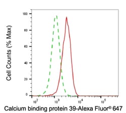 Invitrogen CAB39 Recombinant Rabbit Monoclonal Antibody (24GB6950) 100