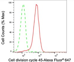 Invitrogen Cdc45L Recombinant Rabbit Monoclonal Antibody (24GB3335) 100