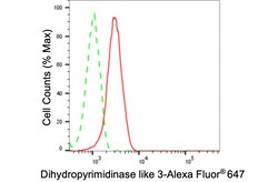 Invitrogen DPYSL3 Recombinant Rabbit Monoclonal Antibody (24GB3720):Antibodies:Primary
