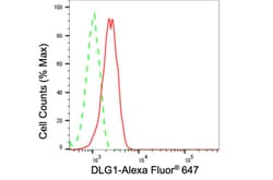 Invitrogen SAP97 Recombinant Rabbit Monoclonal Antibody (24GB5305) 100