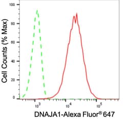 Invitrogen HDJ2 Recombinant Rabbit Monoclonal Antibody (24GB3715) 20 &mu;L;