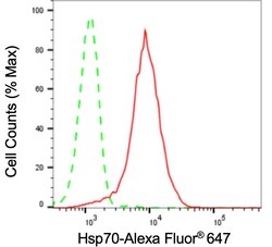 Invitrogen HSPA1A Recombinant Rabbit Monoclonal Antibody (24GB3205) 20
