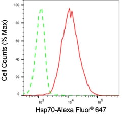 Invitrogen HSP70 Recombinant Rabbit Monoclonal Antibody (24GB3275) 100