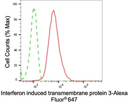 Invitrogen IFITM3 Recombinant Rabbit Monoclonal Antibody (24GB5155) 20