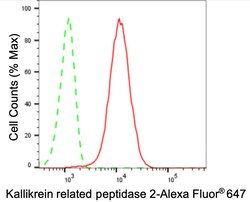 Invitrogen Kallikrein 2 Recombinant Rabbit Monoclonal Antibody (24GB3700)