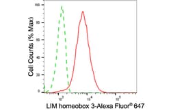 Invitrogen LHX3 Recombinant Rabbit Monoclonal Antibody (24GB3650) 20 &mu;L;