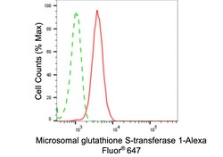Invitrogen MGST1 Recombinant Rabbit Monoclonal Antibody (24GB5110) 100