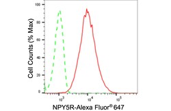 Invitrogen NPY5R Recombinant Rabbit Monoclonal Antibody (24GB60) 100 &mu;L;