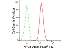 Invitrogen NPC1 Recombinant Rabbit Monoclonal Antibody (24GB620) 20 &mu;L;