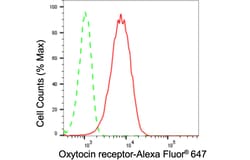 Invitrogen Oxytocin Receptor Recombinant Rabbit Monoclonal Antibody (24GB560)