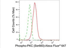 Invitrogen Phospho-PKC Pan (Ser660) Recombinant Rabbit Monoclonal Antibody