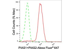 Invitrogen PIAS1/PIAS2 Recombinant Rabbit Monoclonal Antibody (24GB920)