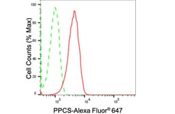 Invitrogen PPCS Recombinant Rabbit Monoclonal Antibody (24GB1350) 100 &mu;L;