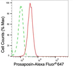 Invitrogen PSAP Recombinant Rabbit Monoclonal Antibody (24GB5265):Antibodies:Primary
